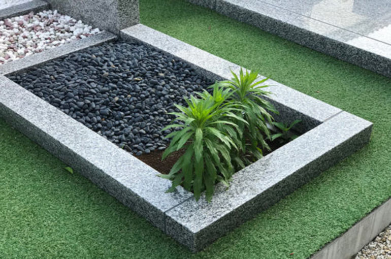 「試しに・・・雑草」