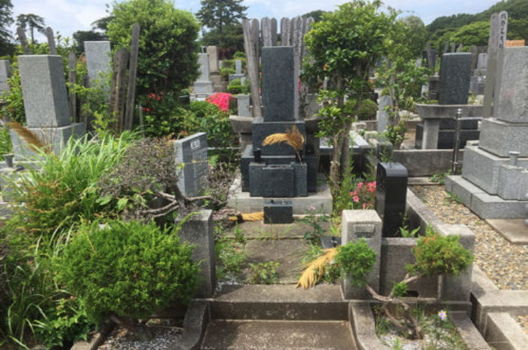 「お手入れビフォアアフター」