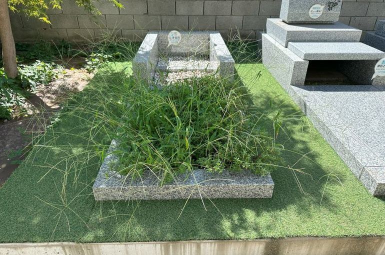 「雑草の実験」