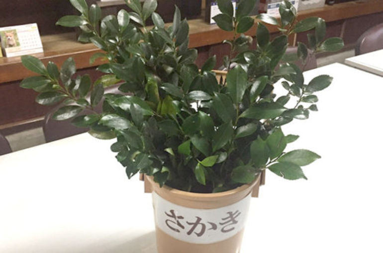 「お榊とおしきみ」