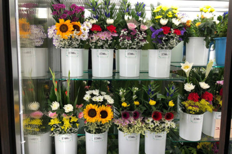 「少しずつ秋の花へ」