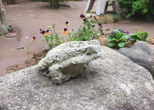 blog014