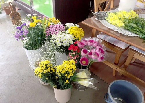 blog016