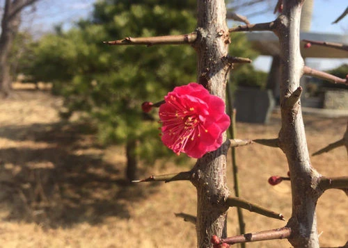 blog019-2