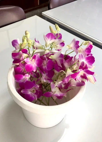 blog021-1