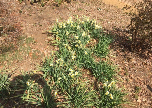 blog022-1