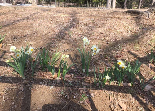 blog022-2