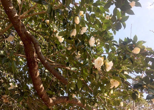 blog024-2