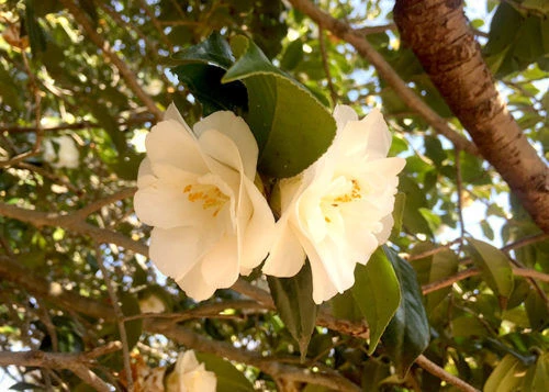 blog024-1