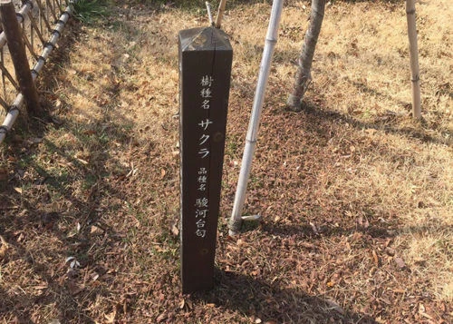 blog026-2