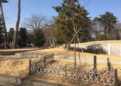 blog026-1