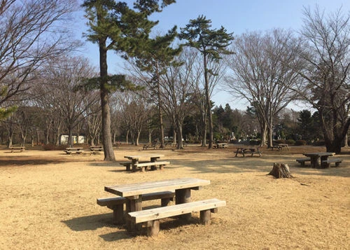 blog028