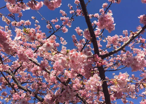 blog030-1