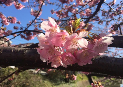 blog030-2
