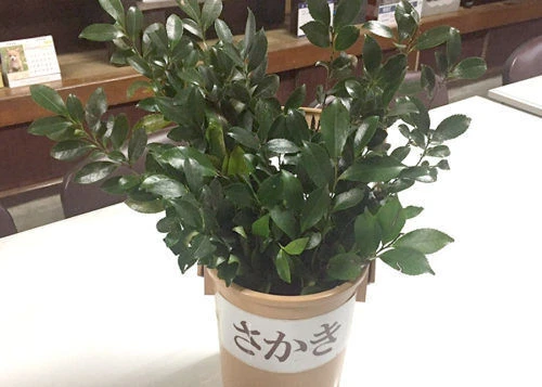 blog034-1