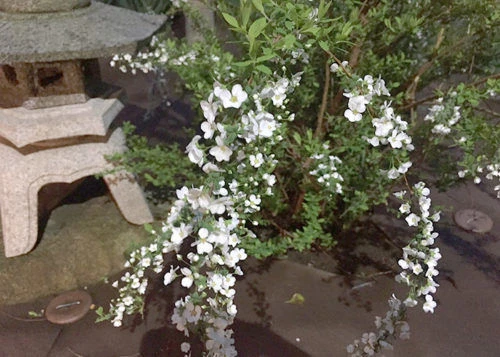 blog044-2