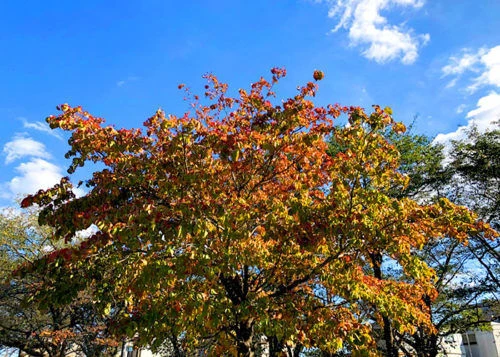 blog072