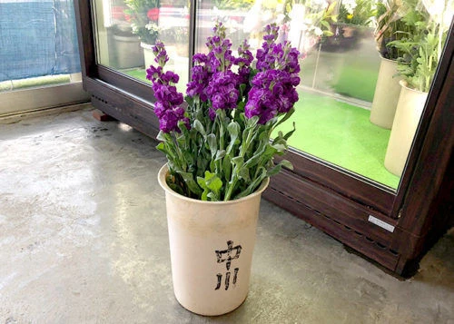 blog103-2